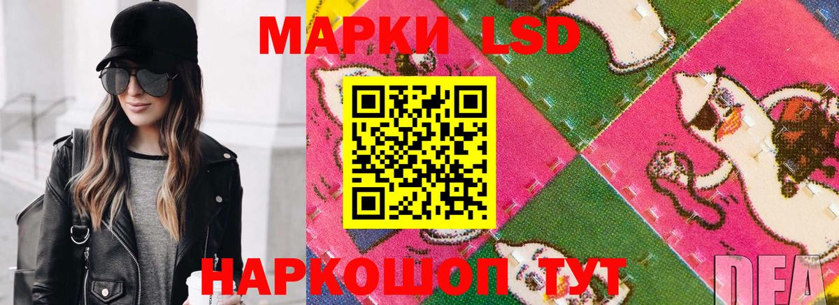 купить наркотики сайты  Марки N-bome 1,8мг  Вход с VPN  Балашов 