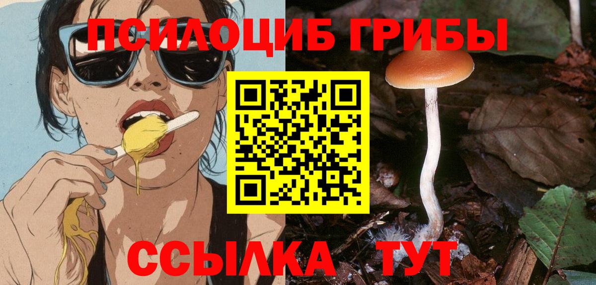 Галлюциногенные грибы Psilocybine cubensis  Вход с VPN  Балашов  Псилоцибиновые грибы Cubensis 